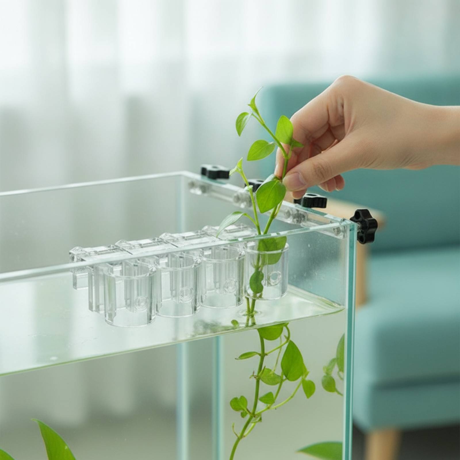 Aquarium Plant Original - 6 Piezas de Soportes Transparentes para