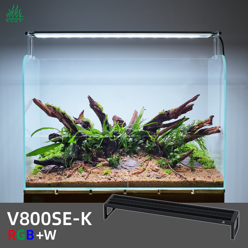 Planted Aquarium Ada - ZXY WEEK ADA mismo tipo de