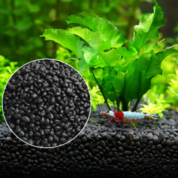 Aquarium Plant Order - Semillas de plantas de Acuario, sustrato