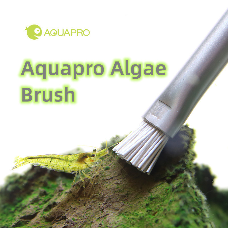 Planted Aquarium Ada - Aquapro-cepillo de algas para acuario, cepillo