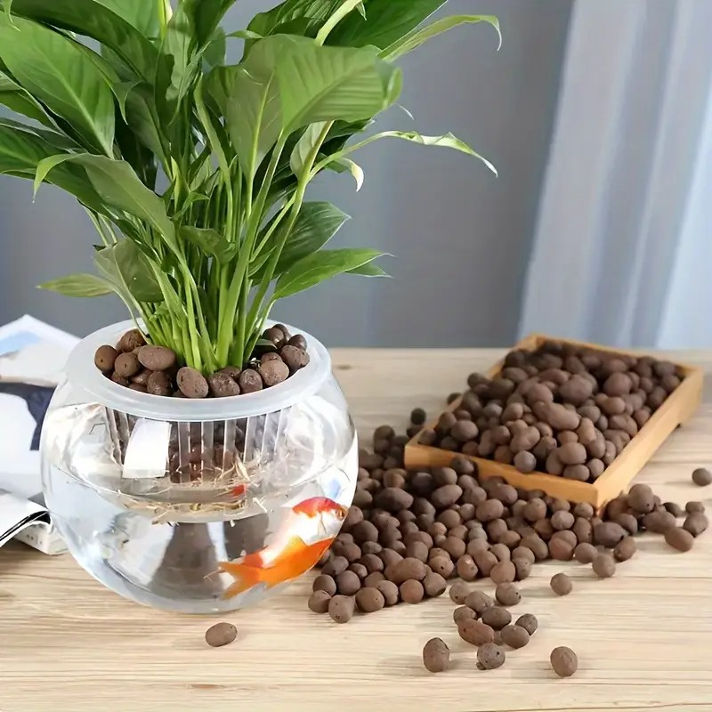 Bolas de terracota ligeras y t - Aquarium Plant Original reseña y precio