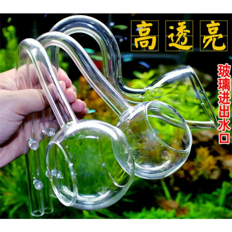 Tubo de cristal de lirio, acce - Planted Aquarium Ada reseña y precio