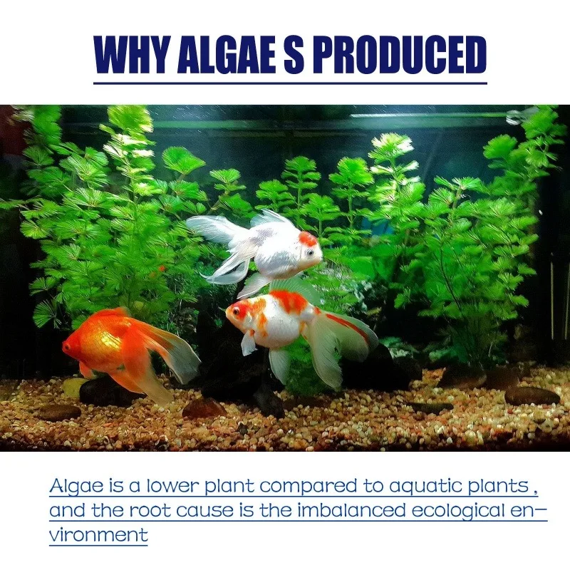 Algaecida de Alta Eficiencia d - Aquarium Plant Order reseña y precio