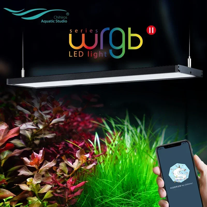 Venta caliente planta de agua  - Planted Aquarium Ada reseña y precio