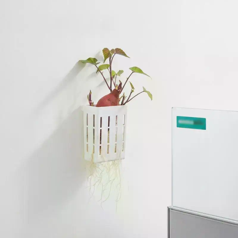 1 unidad de cesta de soporte h - Aquarium Plant Original reseña y precio