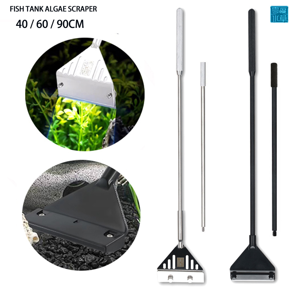 Raspador de Acero Inoxidable p - Planted Aquarium Algae reseña y precio