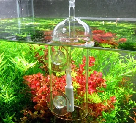 Dispositivo VIV Do, cilindro d - Aquarium Plant Order reseña y precio