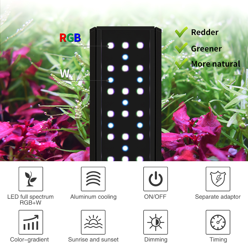 ZXY WEEK ADA mismo tipo de cie - Planted Aquarium Ada reseña y precio