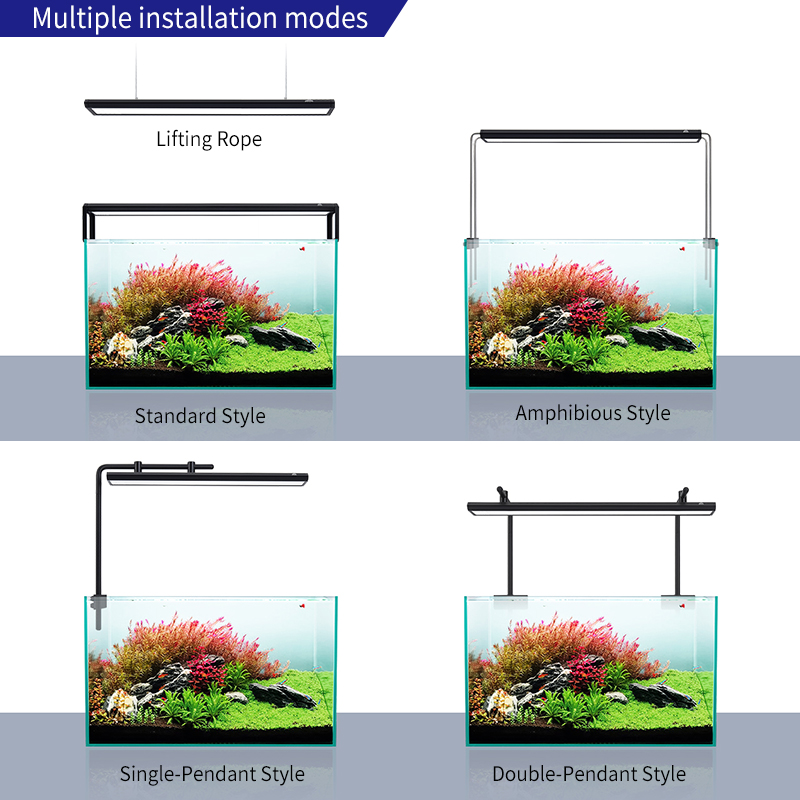 ZXY WEEK ADA mismo tipo de cie - Planted Aquarium Ada reseña y precio