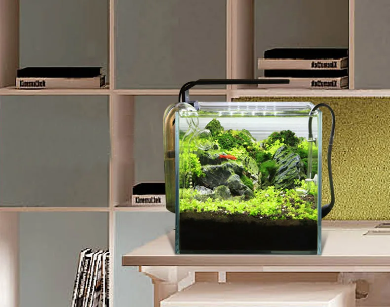 Chihiros Serie C Planta estilo - Planted Aquarium Ada reseña y precio