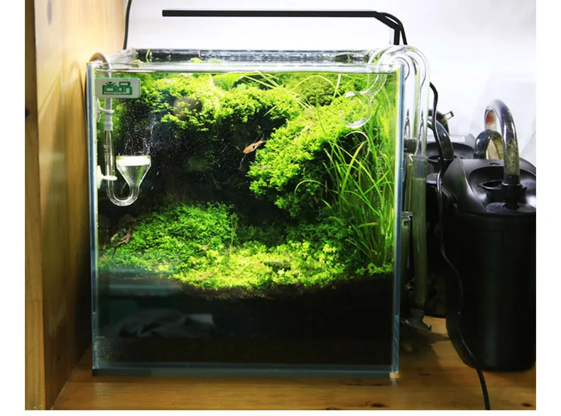 Chihiros Serie C Planta estilo - Planted Aquarium Ada reseña y precio