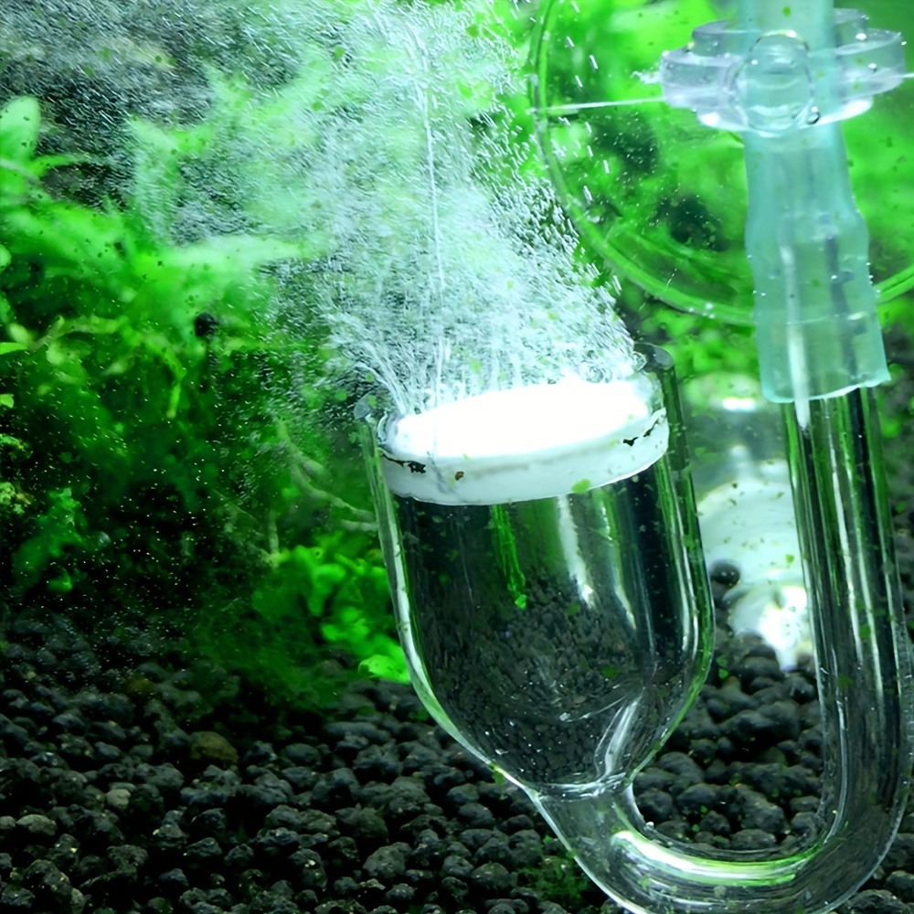 Difusor de atomizador de CO2 d - Aquarium Plant Order reseña y precio