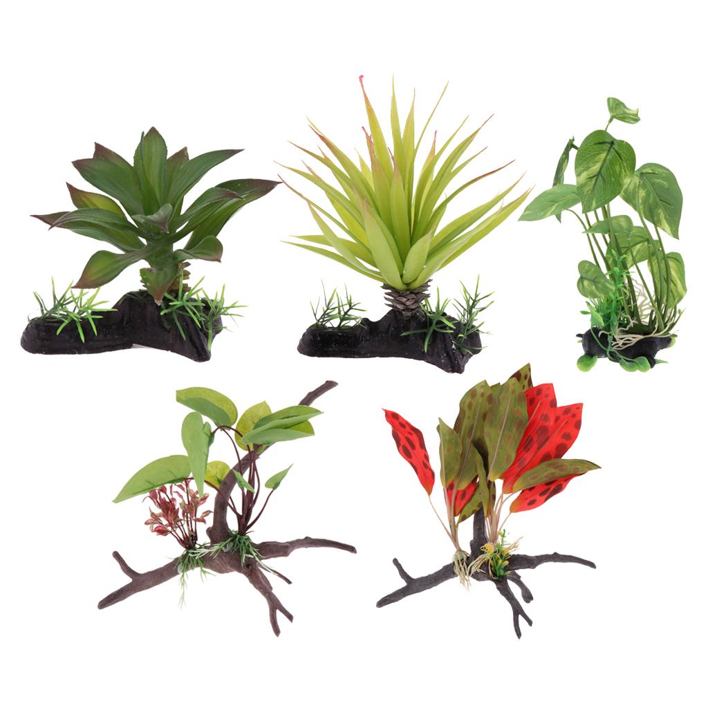 Terrario para reptiles, planta - Planted Aquarium Jungle reseña y precio
