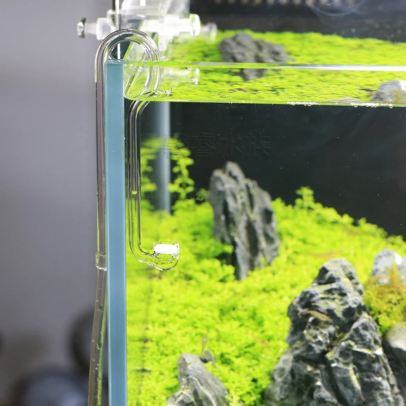 VIV BETTER LIFE Sistema de CO2 - Planted Aquarium Ada reseña y precio