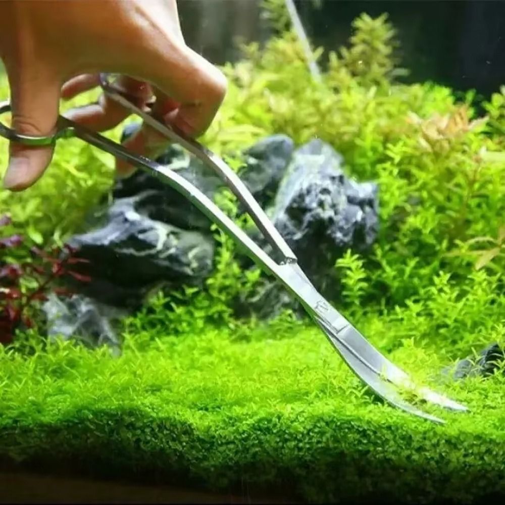 Tijeras para Acuario de Acero  - Planted Aquarium Cleaning reseña y precio