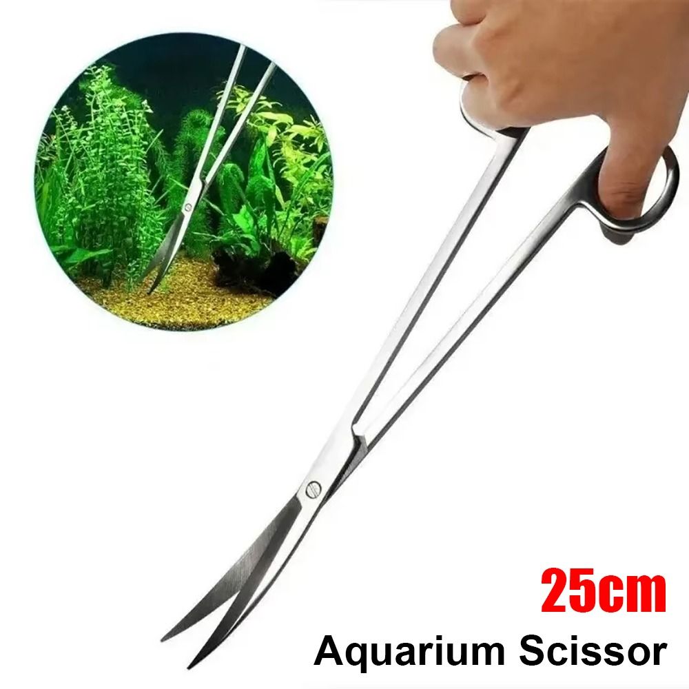 Tijeras para Acuario de Acero  - Planted Aquarium Cleaning reseña y precio