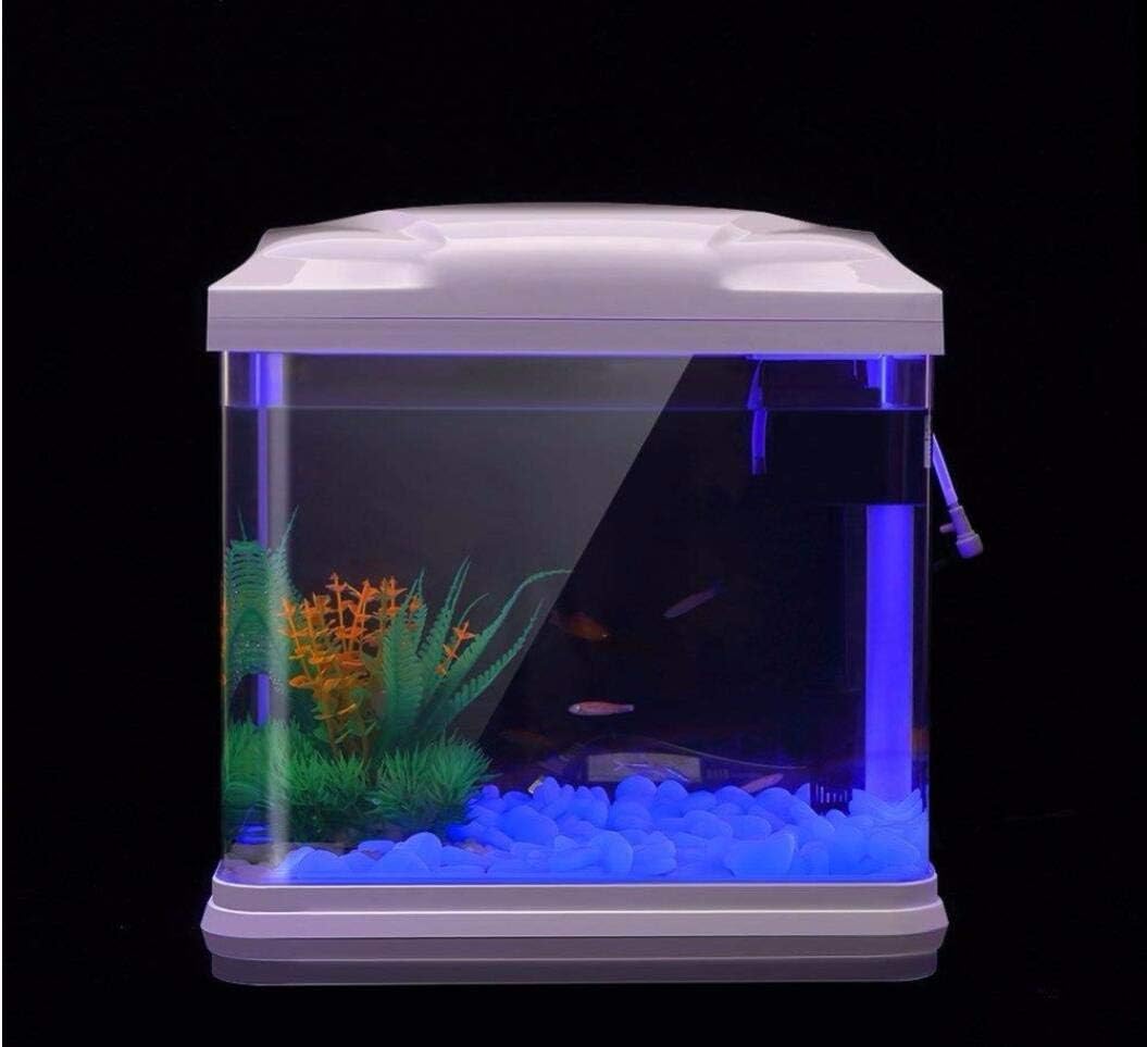Rocas para pecera, guijarros a - Aquarium Plant Order reseña y precio