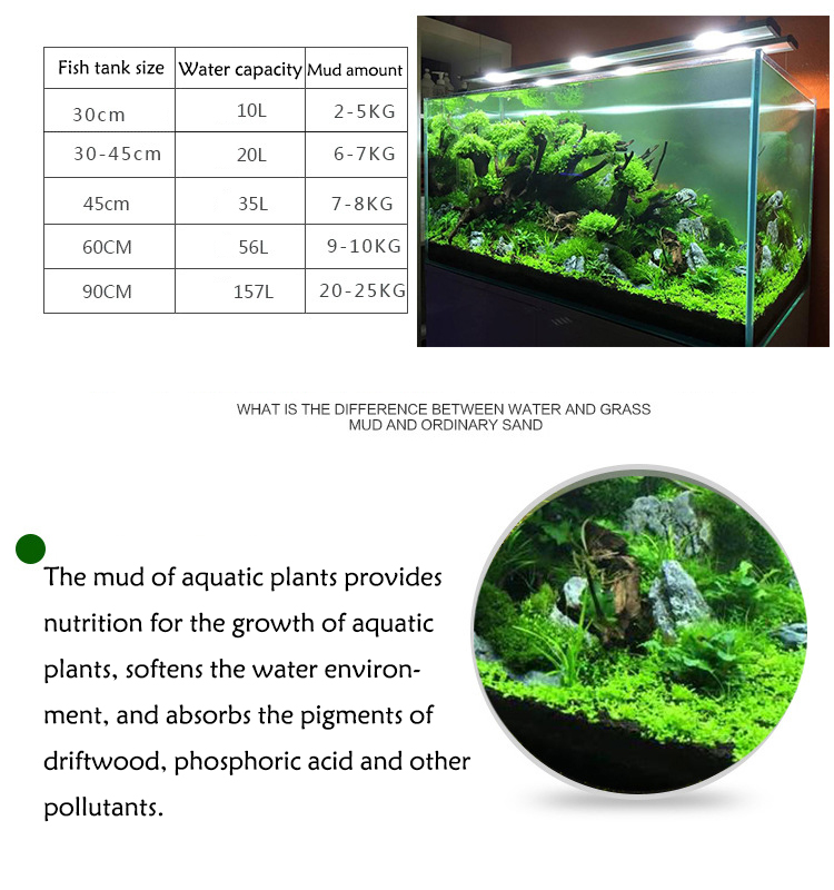 Semillas de plantas de Acuario - Aquarium Plant Order reseña y precio