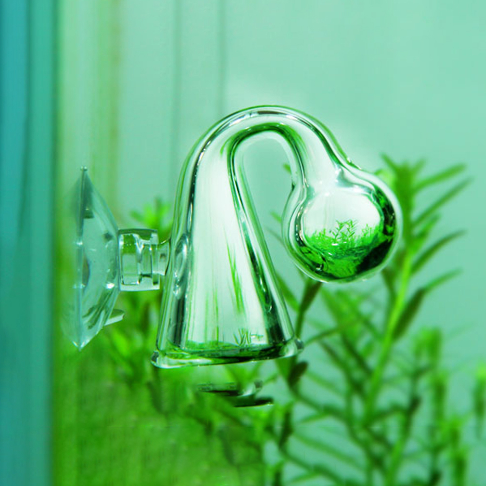Comprobador de caída de vidrio - Aquarium Plant Order reseña y precio