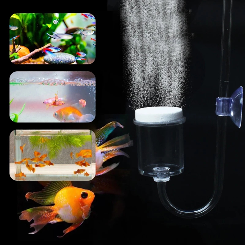 Juego de 4 piezas de difusor d - Aquarium Plant Order reseña y precio